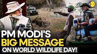 PM Modi Extends Wishes to Wildlife Lovers and Conservationists on World Wildlife Day | Originals