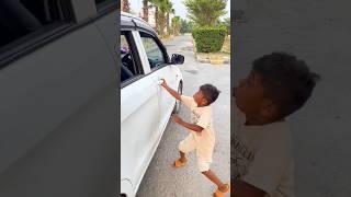 fake snake  in car