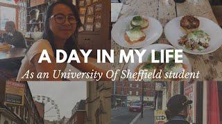 A Day In My Life as a University Of Sheffield Student 