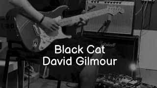 BLACK CAT - David Gilmour (Luck and Strange NEW Album)