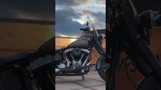 HARLEY-DAVIDSON SOFTAIL FLS SLIM