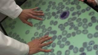 Multitouch Microscope