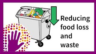 Reducing food loss and waste