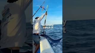 CATCHING GIANT SAILFISH #sailfish#marlinfishing#sportfishing