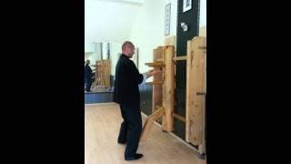 Ip Man Wing Chun - Muk Yan Jong