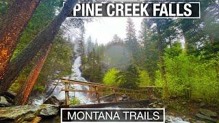 Rainy Hike to Pine Creek Falls in Montana's Paradise Valley - 4k Treadmill Travel with City Walks