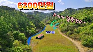 [NO. 188-단양토지매매] 충북 단양 농막짓기 좋은 소액땅매매 - 조용한 산속 산새소리만 들리는 명당 토지