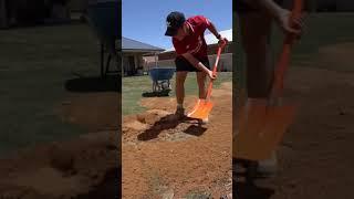 Topdressing with Sand to Level a Lawn