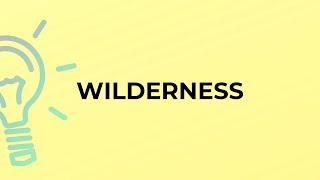 What is the meaning of the word WILDERNESS?