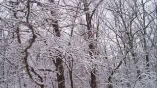 Beethoven: Piano Sonata OP 14 # 2 set to snow scenes