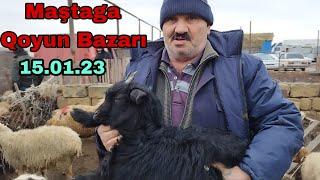 MAŞTAĞA - Qoyun Bazarı 15.01.2023