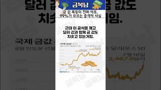 금 값 폭등의 진짜 이유, 99%는 모르는 사실