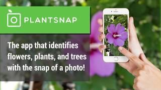 PlantSnap - App Preview for Google Play