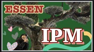 세계 원예 박람회, 2023년 독일 에센 IPM 투어 2탄 (Let's look over the ESSEN IPM)