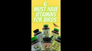 6 MUST HAVE VITAMINS FOR BIRDS #shorts