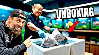 WE FOUND SOME AMAZING FISH IN SOUTH AMERICA - *UNBOXING*