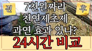 잡초 때문에 스트레스 받으시나요? 7천원짜리 천연 제초제로 행복 하게 잡초제거로 여름 나세요