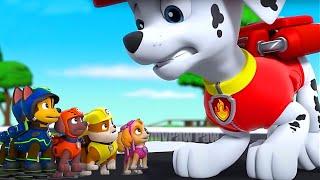 CHASE x SKYE Christmas Decoration!! Funny Life Story - Paw Patrol Ultimate Rescue | Rainbow 3