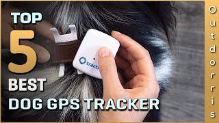 Top 5 Best Dog Gps Tracker Review in 2023