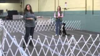 Dog training PATTERN GAMES by Leslie McDevitt