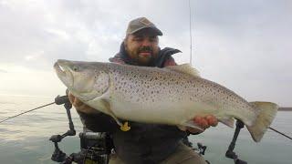  LIVE - Brown Trout Are In And Salmon From Shore | Lake Michigan Fishing Report 11/2/24