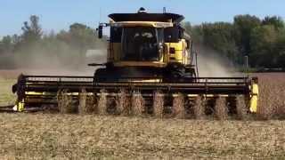 Farm boy reef New Holland Combine Harvester  Time to harvest Nash Creek Farms