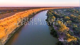 Murray River Bird aerial video - Golden Cliffs of South Australia - Discover Murray River