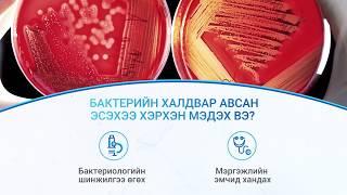 Хатиг ба MRSA халдвар