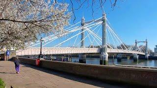 Spring in London! Walking in Chelsea from Albert Bridge to Sloane Square