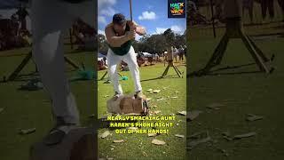 This Aussie Axeman Just Went Full Beast Mode  #FunnyShorts #WoodChopping #AussieHumor