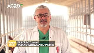 Besicilikte Kaba Yem Kullanımı / Agro TV