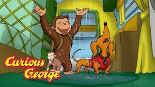 The Flooded Camping Trip  Curious George  Kids Cartoon  Kids Movies