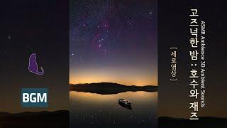  Quiet Nights : Lakes and Jazz | ASMR Ambience 3D Ambient Sounds