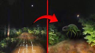 30 Terrifying Creatures that You Must See To Believe!!