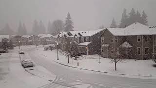 Snowmageddon Olympia Washington part 2