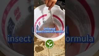 Universal insect control formula, #garden #viralvideo #gardening #fertilizer #soil #tips