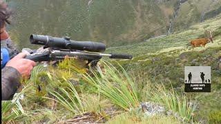 Tussock Stags. Hunting the big open country.