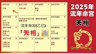 2025蛇年運勢｜乙巳年｜天相｜2025流年運勢 - 整體運勢、事業運、財運、工作、健康詳細解析