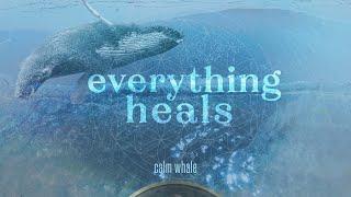 Nature Vibrations  Shaman Drum, Handpan & Rainstick - Everything Heals | Calm Whale