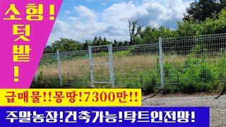 {급매물!!}가격대폭인하!!7300만원!!작은.텃밭가꾸기!주말농장!최고!!{112}#일광땅 #기장땅#서생땅 #장안땅#