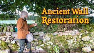 Ancient Wall Restored! + Creating a Secret Entrance! - Country House Renovation Rural Scotland