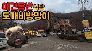 서울 인근 애견동반식당 도깨비방망이 방문기!ㅣGoing to a pet friendly restaurant near Seoul