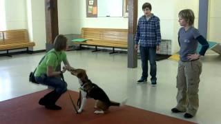 Richmond SPCA Junior Dog Trainers Program Video