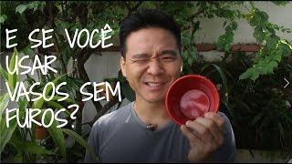 Veredito: VASO SEM FURO pode ou não pode?