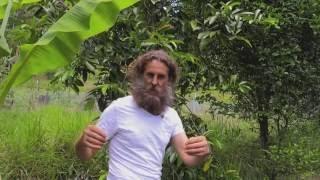 How To: Grassland to a Permaculture Food Forest Paradise.  Ian Trew Noosa Australia. PDC 2024 Course