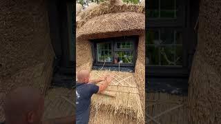 Thatched cottage window apron #youtube #youtubeshorts #viral #trending #thatching #reels