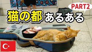 猫の都イスタンブールあるある言いたいpart2