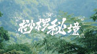 《桫椤秘境》【神秘蜀韵 百部川扬】