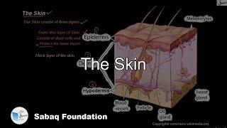 The Skin, General Science Lecture | Sabaq.pk