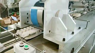 automatic egg trays printing labeling equipment